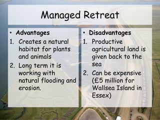 Managed Retreat
• Advantages
1. Creates a natural
habitat for plants
and animals
2. Long term it is
working with
natural flooding and
erosion.
• Disadvantages
1. Productive
agricultural land is
given back to the
sea
2. Can be expensive
(£5 million for
Wallsea Island in
Essex)
 