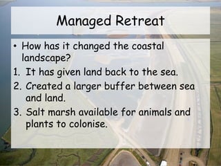 Managed Retreat
• How has it changed the coastal
landscape?
1. It has given land back to the sea.
2. Created a larger buffer between sea
and land.
3. Salt marsh available for animals and
plants to colonise.
 