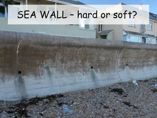 SEA WALL – hard or soft?
 