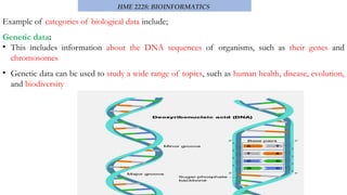 Dna Reference Database understanding the Human DNA components database design | PPTX