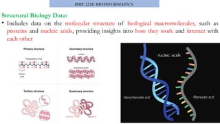 understanding the Human DNA components database design | PPTX