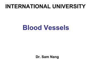 INTERNATIONAL UNIVERSITY
Blood Vessels
Dr. Sam Nang
 