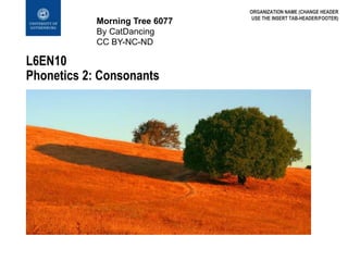 ORGANIZATION NAME (CHANGE HEADER
USE THE INSERT TAB-HEADER/FOOTER)
Morning Tree 6077
By CatDancing
CC BY-NC-ND
L6EN10
Phonetics 2: Consonants
 