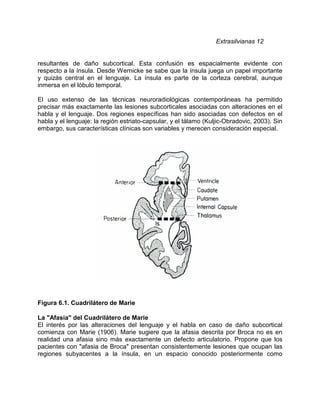 Extrasilvianas 12


resultantes de daño subcortical. Esta confusión es espacialmente evidente con
respecto a la ínsula. Desde Wernicke se sabe que la ínsula juega un papel importante
y quizás central en el lenguaje. La ínsula es parte de la corteza cerebral, aunque
inmersa en el lóbulo temporal.

El uso extenso de las técnicas neuroradiológicas contemporáneas ha permitido
precisar más exactamente las lesiones subcorticales asociadas con alteraciones en el
habla y el lenguaje. Dos regiones específicas han sido asociadas con defectos en el
habla y el lenguaje: la región estriato-capsular, y el tálamo (Kuljic-Obradovic, 2003). Sin
embargo, sus características clínicas son variables y merecen consideración especial.




Figura 6.1. Cuadrilátero de Marie

La "Afasia" del Cuadrilátero de Marie
El interés por las alteraciones del lenguaje y el habla en caso de daño subcortical
comienza con Marie (1906). Marie sugiere que la afasia descrita por Broca no es en
realidad una afasia sino más exactamente un defecto articulatorio. Propone que los
pacientes con "afasia de Broca" presentan consistentemente lesiones que ocupan las
regiones subyacentes a la ínsula, en un espacio conocido posteriormente como
 