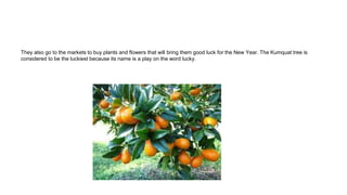 They also go to the markets to buy plants and flowers that will bring them good luck for the New Year. The Kumquat tree is
considered to be the luckiest because its name is a play on the word lucky.
 