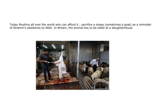 Today Muslims all over the world who can afford it , sacrifice a sheep (sometimes a goat) as a reminder
of Ibrahim's obedience to Allah. In Britain, the animal has to be killed at a slaughterhouse
 