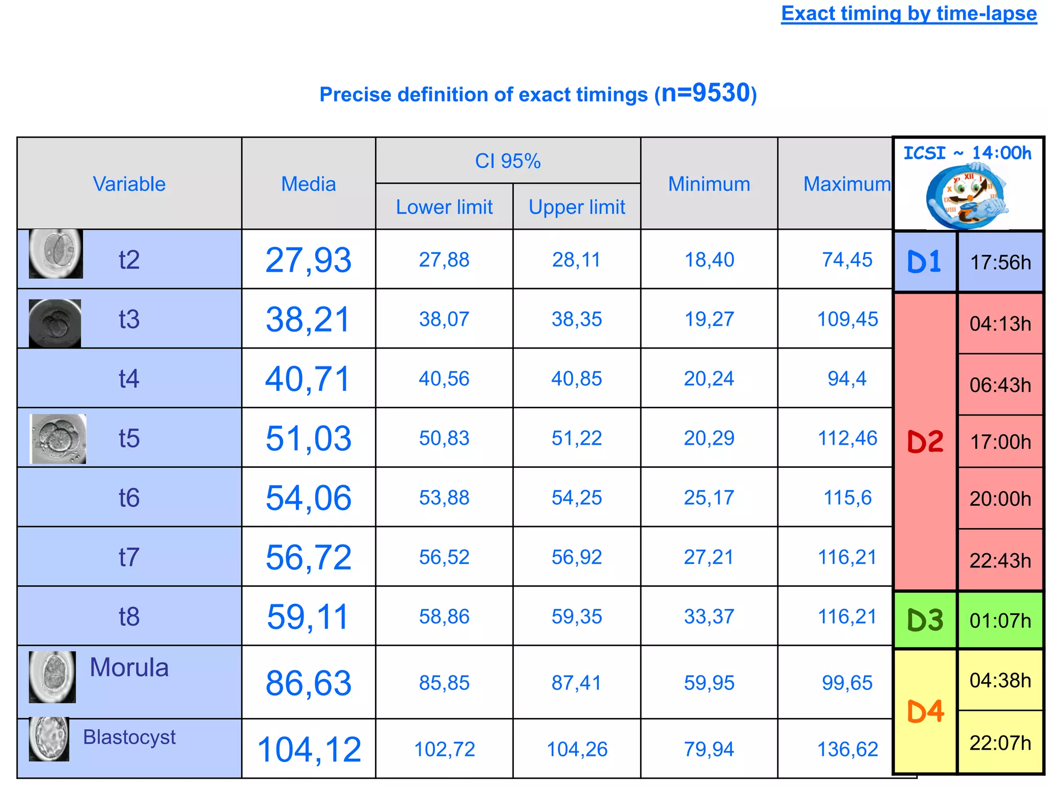 Exact timing by time-lapse
Precise definition of exact timings (n=9530)
Variable Media
CI 95%
Minimum Maximum
Lower limit Upper limit
t2 27,93 27,88 28,11 18,40 74,45
t3 38,21 38,07 38,35 19,27 109,45
t4 40,71 40,56 40,85 20,24 94,4
t5 51,03 50,83 51,22 20,29 112,46
t6 54,06 53,88 54,25 25,17 115,6
t7 56,72 56,52 56,92 27,21 116,21
t8 59,11 58,86 59,35 33,37 116,21
Morula
86,63 85,85 87,41 59,95 99,65
Blastocyst
104,12 102,72 104,26 79,94 136,62
ICSI ~ 14:00h
D1 17:56h
D2
04:13h
06:43h
17:00h
20:00h
22:43h
D3 01:07h
D4
04:38h
22:07h
 