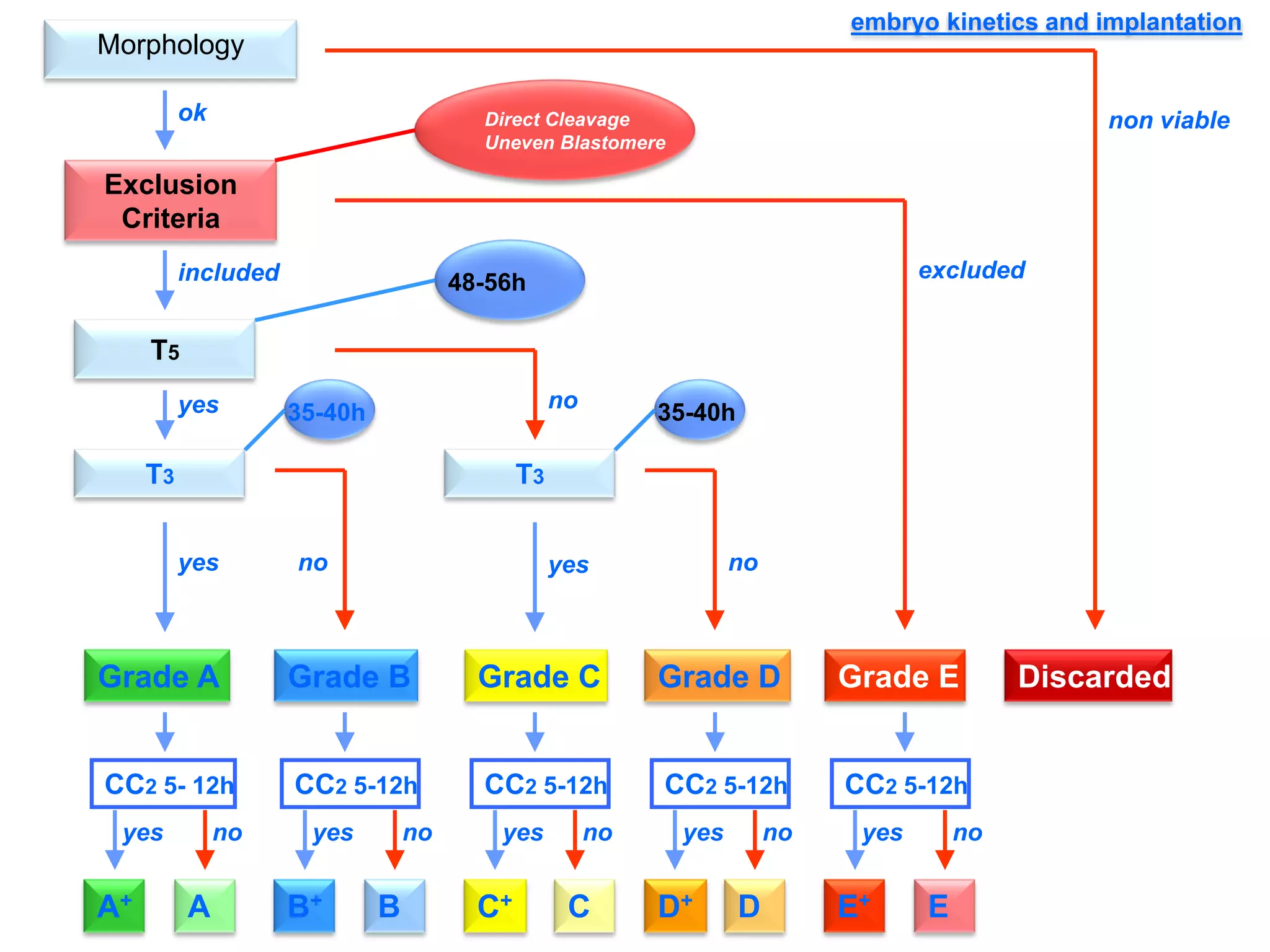 Implantation Success; ESDMorphology
included
ok
Grade A Grade B Grade C Grade D Grade E Discarded
non viable
excluded
yes no
yes nono yes
A+ A E+ EB+ B C+ C D+ D
CC2 5- 12h CC2 5-12h CC2 5-12h CC2 5-12h CC2 5-12h
yes no yes no yes no yes no yes no
Exclusion
Criteria
Direct Cleavage
Uneven Blastomere
T5
48-56h
T3
35-40h
T3
35-40h
embryo kinetics and implantation
 