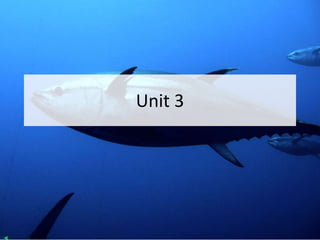 Unit 3
 