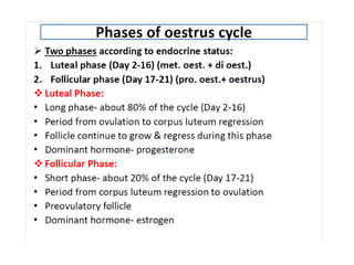 Reproductive Cycle male and female .pptx