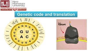 Genetic code and translation
 