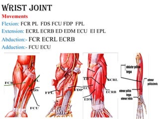 L6 WRIST AND JOINTS OF THE HAND .pptx anatomy | PPTX