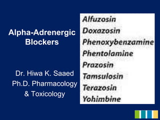 Alpha-Adrenergic
Blockers
Dr. Hiwa K. Saaed
Ph.D. Pharmacology
& Toxicology
 