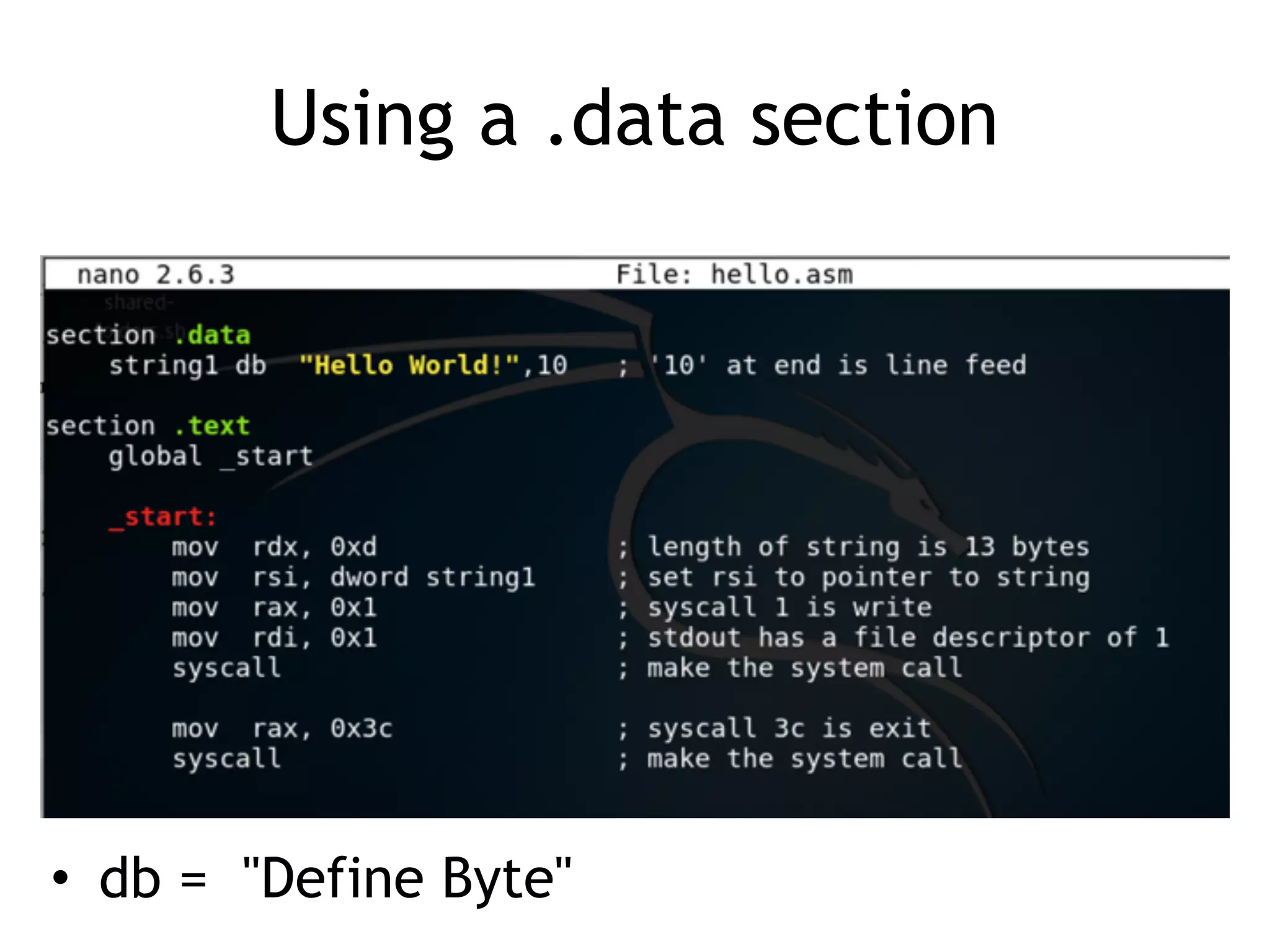 Using a .data section
• db = "Define Byte"
