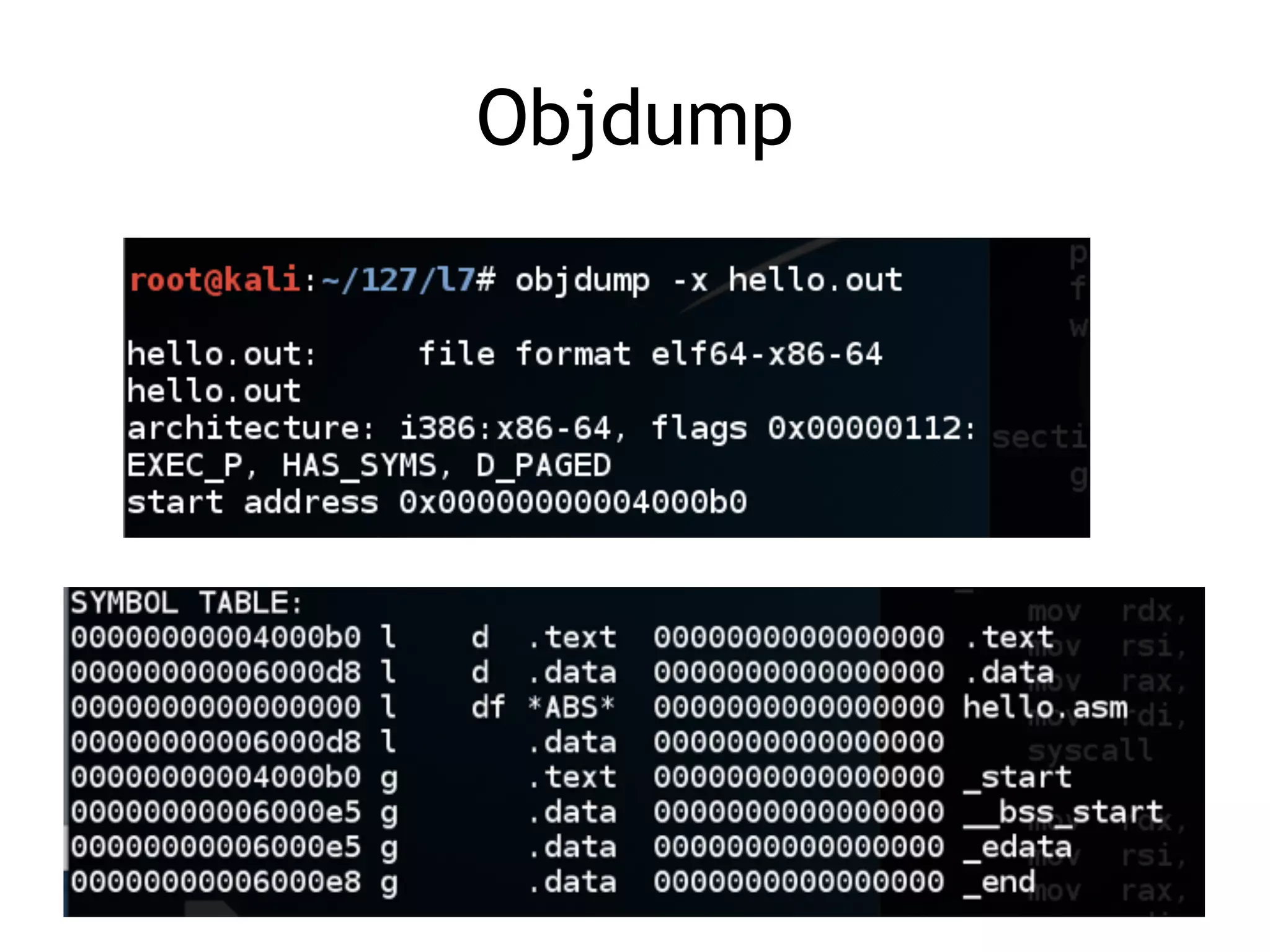 Objdump