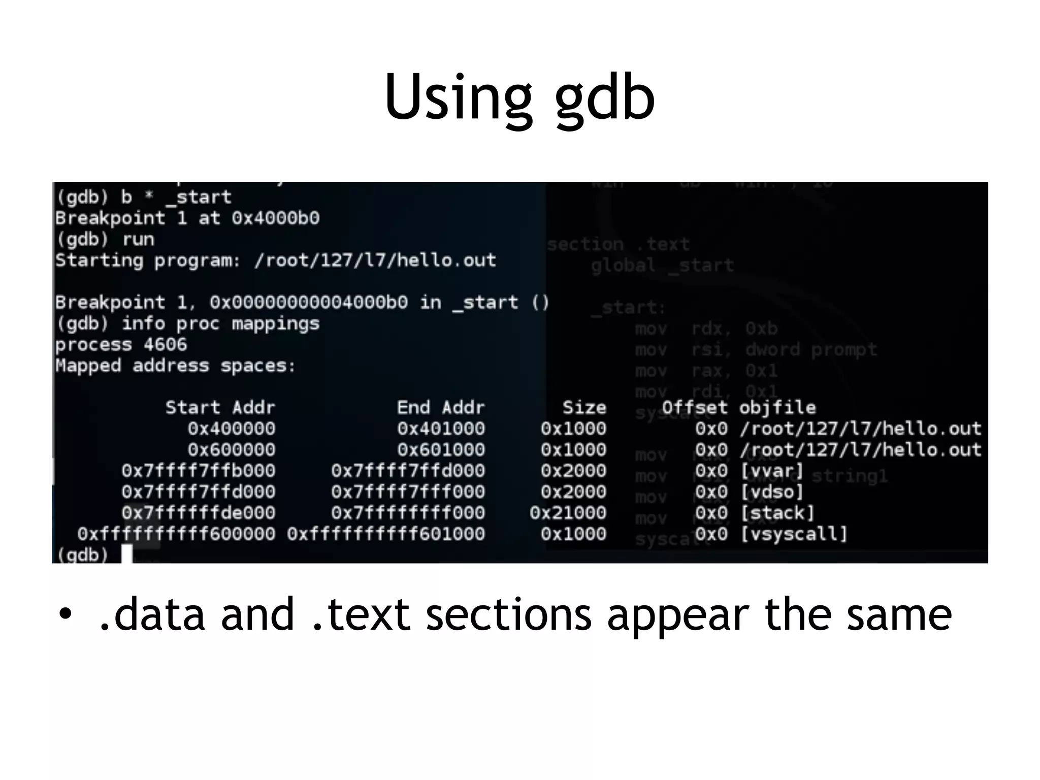 Using gdb
• .data and .text sections appear the same