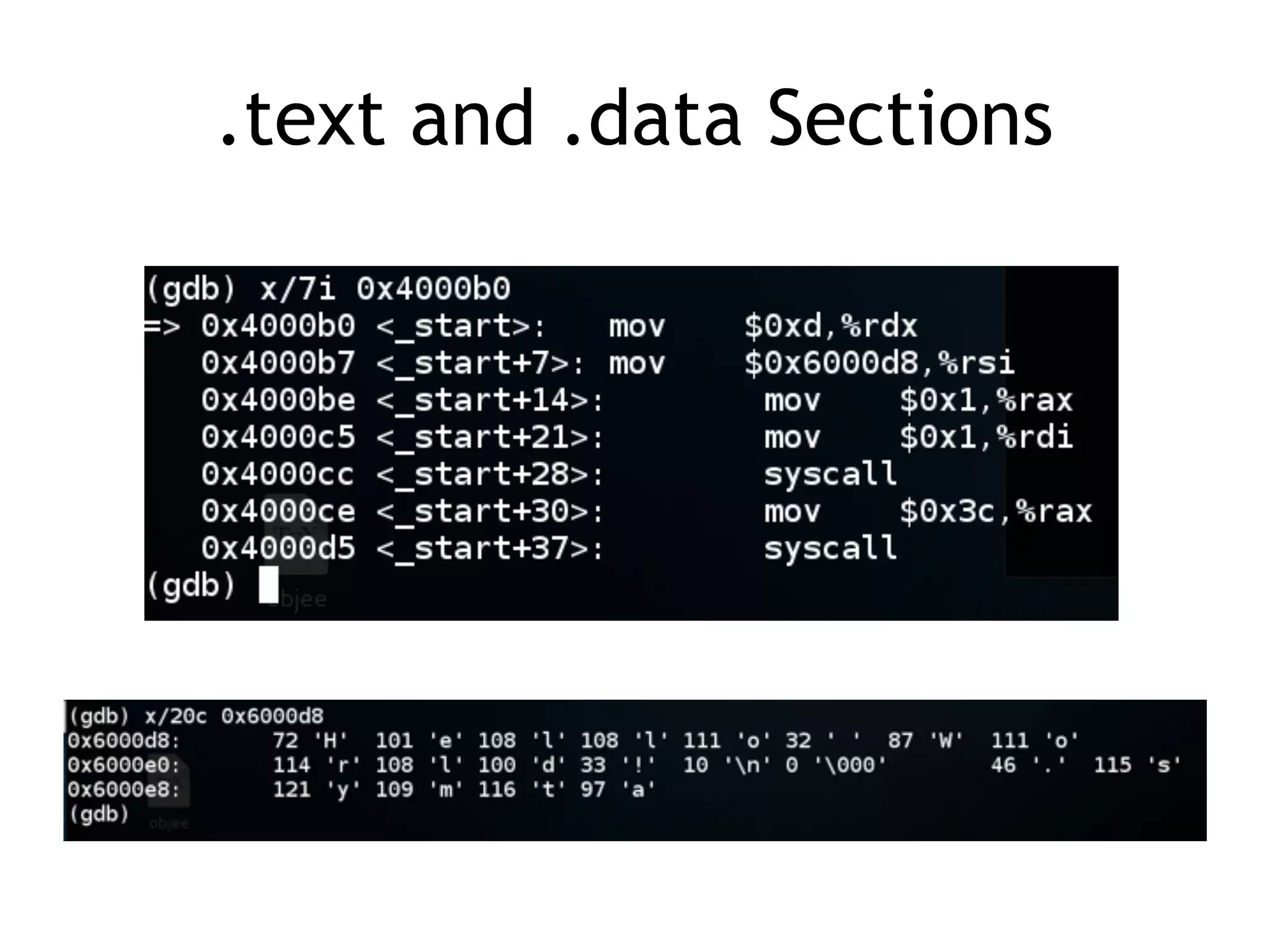 .text and .data Sections
