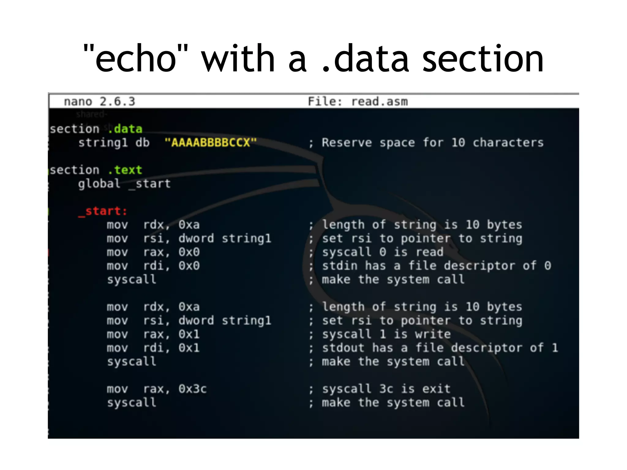 "echo" with a .data section