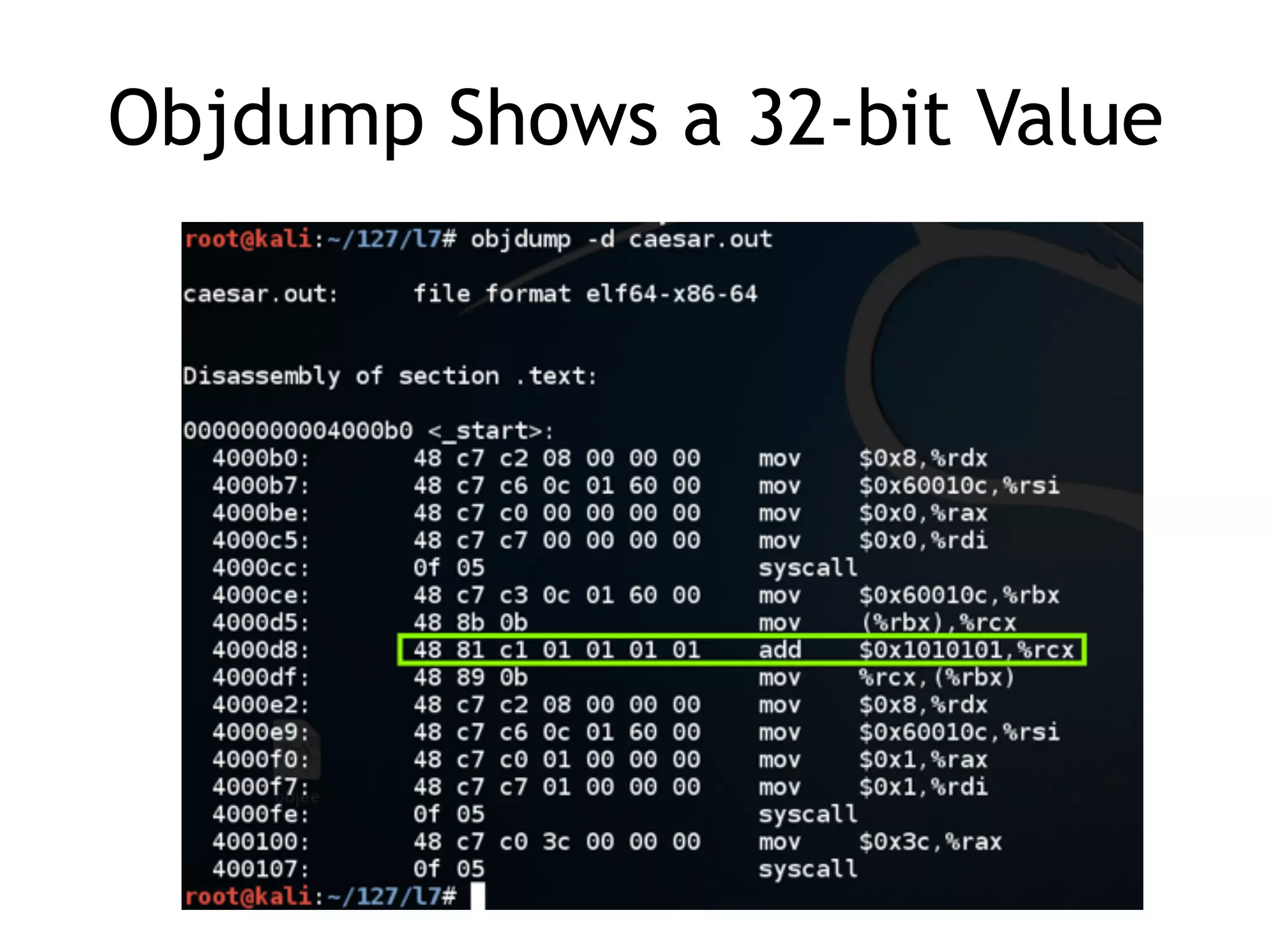 Objdump Shows a 32-bit Value