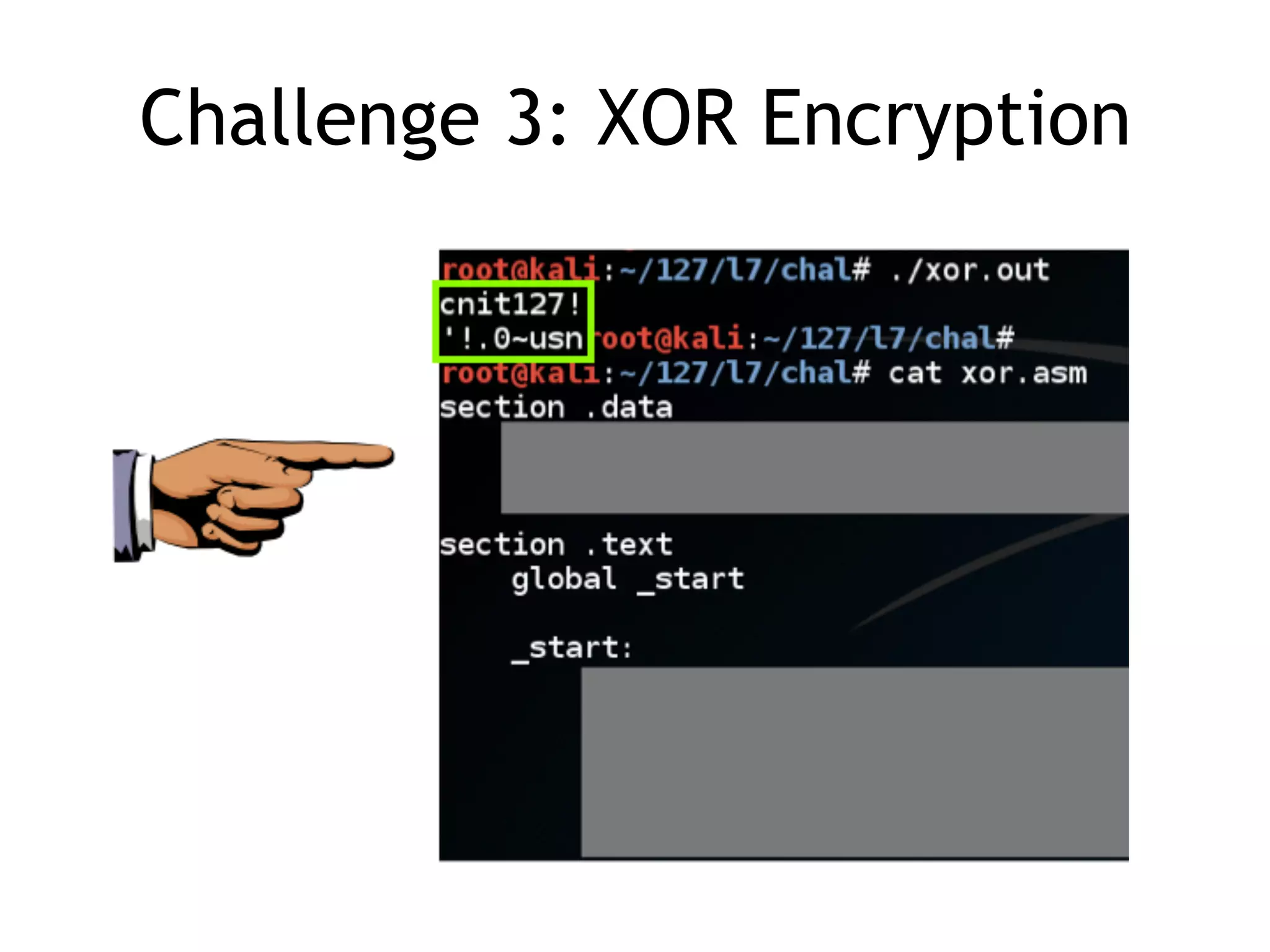 Challenge 3: XOR Encryption