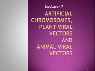 1
Lecture- 7
 
