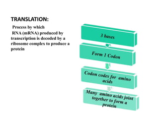 TRANSLATION:
Process by which
RNA (mRNA) produced by
transcription is decoded by a
ribosome complex to produce a
protein
 