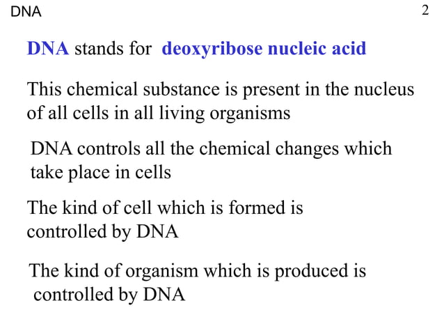 L7. Nucleic Acids.ppt