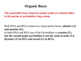 The nucleotide bases found in nucleic acids are related either
to the purine or pyrimidine ring system.
Both DNA and RNA contain two major purine bases, adenine (A)
and guanine (G).
In both DNA and RNA one of the Pyrimidines is cytosine (C),
but the second major pyrimidine is not the same in both: it is
thymine (T) in DNA and uracil (U) in RNA.
Organic Bases
 