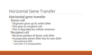 Horizontal Gene Transfer
Horizontal gene transfer
◦Donor cell
◦Organism gives up its entire DNA
◦Part goes to recipient cell
◦Part is degraded by cellular enzymes
◦Recipient cell
◦Receives portion of donor cells DNA
◦Incorporates donor DNA into its own DNA
◦ Recombinant DNA
◦ Less than 1 % of population
 