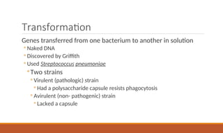 Transformation
Genes transferred from one bacterium to another in solution
◦ Naked DNA
◦ Discovered by Griffith
◦ Used Streptococcus pneumoniae
◦Two strains
◦ Virulent (pathologic) strain
◦ Had a polysaccharide capsule resists phagocytosis
◦ Avirulent (non- pathogenic) strain
◦ Lacked a capsule
 