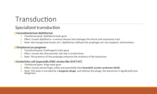 Transduction
Specialized transduction
1.Corynebacterium diphtheriae
1. Transferred gene: Diphtheria toxin gene
2. Effect: Causes diphtheria—a serious disease that damages the throat and respiratory tract.
3. Note: Non-lysogenized strains of C. diphtheriae (without the prophage) are non-toxigenic and harmless.
2.Streptococcus pyogenes
1. Transferred gene: Erythrogenic toxin gene
2. Effect: Causes the characteristic red rash in scarlet fever.
3. Note: The presence of the prophage enhances the virulence of the bacterium.
3.Escherichia coli (especially EHEC strains like O157:H7)
1. Transferred gene: Shiga toxin gene
2. Effect: Causes hemorrhagic colitis and potentially fatal hemolytic uremic syndrome (HUS).
3. Note: This toxin is encoded by a lysogenic phage, and without the phage, the bacterium is significantly less
dangerous.
 