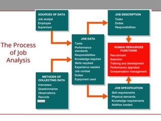 The Process
of Job
Analysis
 