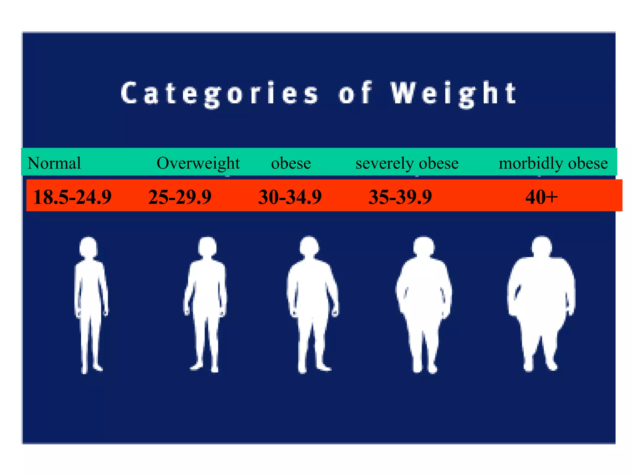 l7-nutrition-ppt