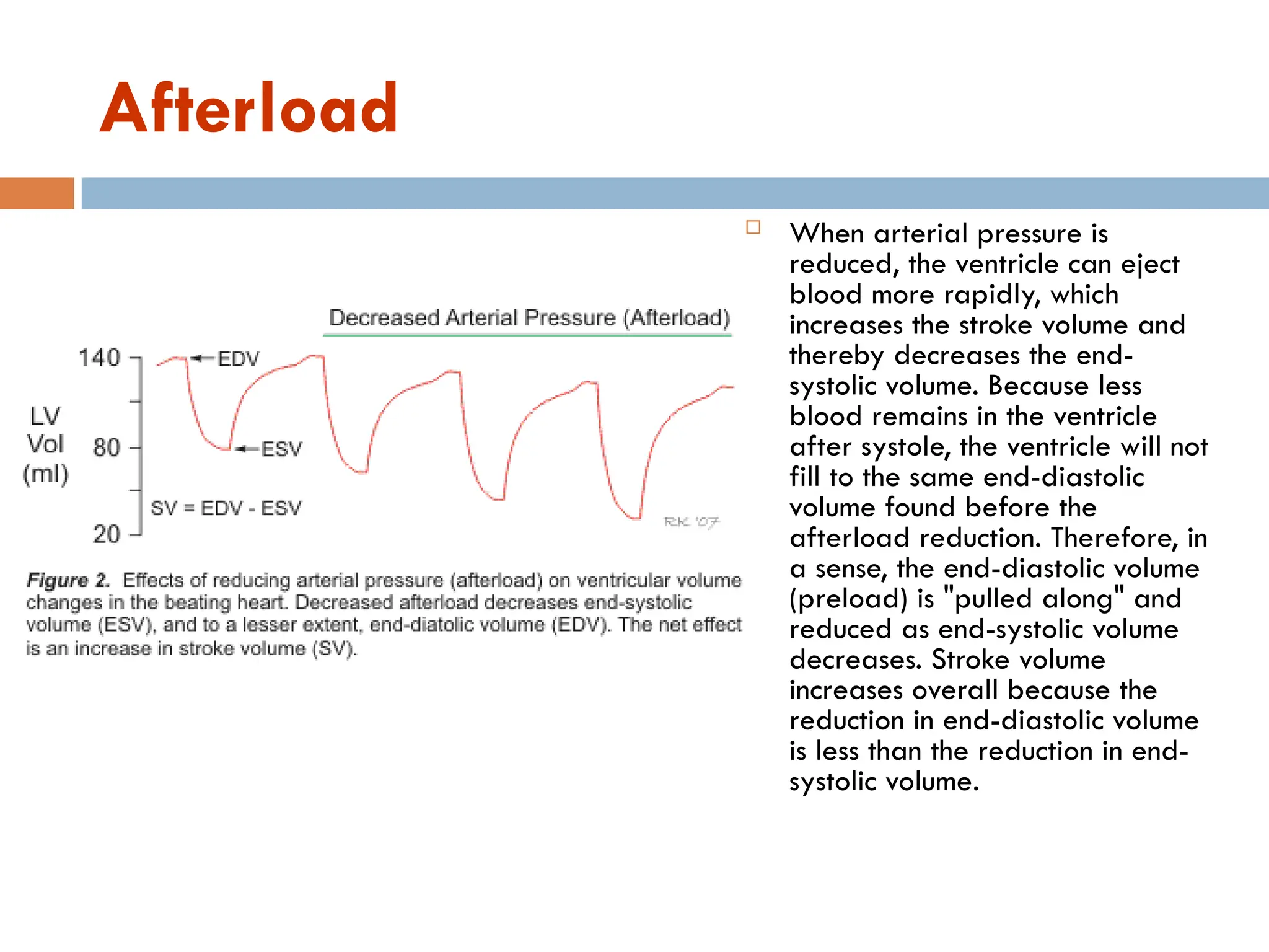 Afterload
 When arterial pressure is
reduced, the ventricle can eject
blood more rapidly, which
increases the stroke volume and
thereby decreases the end-
systolic volume. Because less
blood remains in the ventricle
after systole, the ventricle will not
fill to the same end-diastolic
volume found before the
afterload reduction. Therefore, in
a sense, the end-diastolic volume
(preload) is "pulled along" and
reduced as end-systolic volume
decreases. Stroke volume
increases overall because the
reduction in end-diastolic volume
is less than the reduction in end-
systolic volume.
 