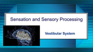 Sensation and Sensory Processing
Vestibular System
 