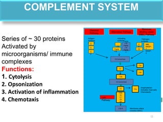 COMPLEMENT SYSTEM
Series of ~ 30 proteins
Activated by
microorganisms/ immune
complexes
Functions:
1. Cytolysis
2. Opsonization
3. Activation of inflammation
4. Chemotaxis
11
Continued next
page…
Classical
Pathway
Alternative Pathway
Mannose
Binding Lectin
(MBL) Pathway
Antigen-
Antibody
complex
Activating
surfaces
Pathogen
surfaces
C
1
C
4
C
2
C3
b
C
4
C2
MBL
MASP-
1
MASP-
2
C3 Convertase
C3b
C3b
C3a
C3
C5b-9
C5a
C5
C5 Convertase
Lytic
Pathway
C5b
C6
C7
C8
C9
Membrane attack
complex (MAC)
Anaphylatoxin
Activates mast cells
Chemotactic
Facto
r B
Facto
r D
Facto
r H
Facto
r I
 