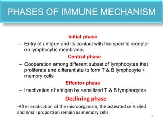 PHASES OF IMMUNE MECHANISM
Initial phase
– Entry of antigen and its contact with the specific receptor
on lymphocytic membrane.
Central phase
– Cooperation among different subset of lymphocytes that
proliferate and differentiate to form T & B lymphocyte +
memory cells
Effector phase
– Inactivation of antigen by sensitized T & B lymphocytes
Declining phase
-After eradication of the microorganism, the activated cells died
and small proportion remain as memory cells
19
 