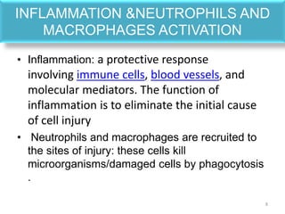 INFLAMMATION &NEUTROPHILS AND
MACROPHAGES ACTIVATION
• Inflammation: a protective response
involving immune cells, blood vessels, and
molecular mediators. The function of
inflammation is to eliminate the initial cause
of cell injury
• Neutrophils and macrophages are recruited to
the sites of injury: these cells kill
microorganisms/damaged cells by phagocytosis
.
8
 