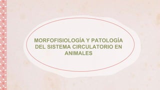 MORFOFISIOLOGÍA Y PATOLOGÍA
DEL SISTEMA CIRCULATORIO EN
ANIMALES
 