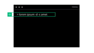 TERMINAL
> lorem ipsum -d -s amet
 