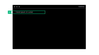 TERMINAL
> lorem ipsum -d -s amet
 