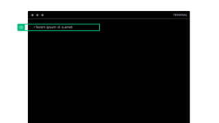 TERMINAL
> lorem ipsum -d -s amet
 