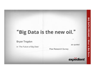 What is Big Data?
• “Big	
  Data	
  Dreams”	
  
13	
  
“Big Data is the new oil.”
-
Bryan Trogdon
as quoted
in ‘The Future of Big Data’
Pew Research Survey
BIGDATADREAMS::WHATISBIGDATA
 
