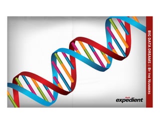 BIGDATADREAMS::BYTHENUMBERS
 