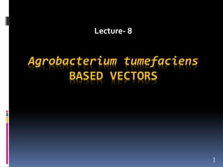 Agrobacterium tumefaciens
BASED VECTORS
1
Lecture- 8
 