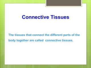 Connective Tissues
The tissues that connect the different parts of the
body together are called connective tissues.
 