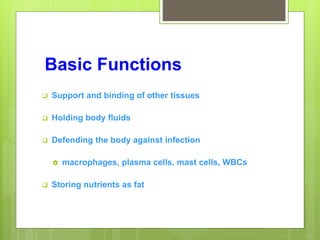 Basic Functions
 Support and binding of other tissues
 Holding body fluids
 Defending the body against infection
 macrophages, plasma cells, mast cells, WBCs
 Storing nutrients as fat
 