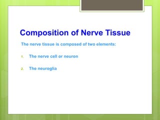 Composition of Nerve Tissue
The nerve tissue is composed of two elements:
1. The nerve cell or neuron
2. The neuroglia
 