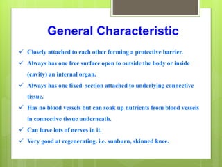 General Characteristic
 Closely attached to each other forming a protective barrier.
 Always has one free surface open to outside the body or inside
(cavity) an internal organ.
 Always has one fixed section attached to underlying connective
tissue.
 Has no blood vessels but can soak up nutrients from blood vessels
in connective tissue underneath.
 Can have lots of nerves in it.
 Very good at regenerating. i.e. sunburn, skinned knee.
 