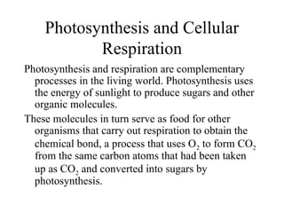 grade 8 science ppt, photosythesis and cellular respiration | PPT